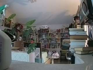 voyeurcam-bridgetleewalters-02 camsoda