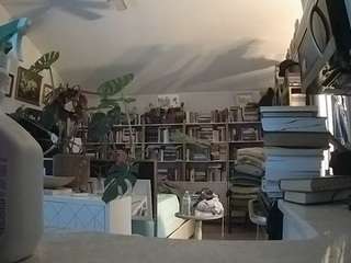 voyeurcam-bridgetleewalters-02 camsoda