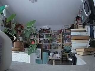 voyeurcam-bridgetleewalters-02 camsoda