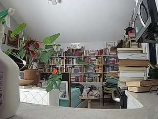 voyeurcam-bridgetleewalters-02