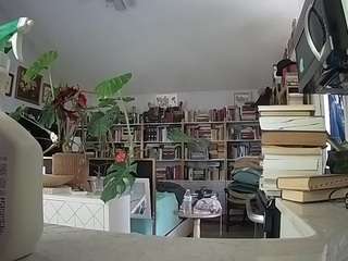 voyeurcam-bridgetleewalters-02 camsoda