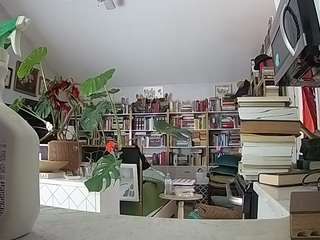  voyeurcam-bridgetleewalters-02 chat room