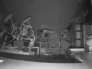 voyeurcam-bridgetleewalters-02