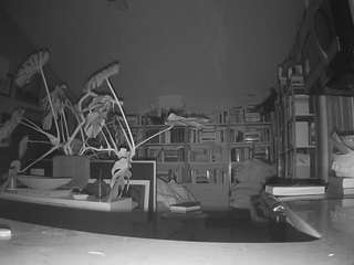 voyeurcam-bridgetleewalters-02