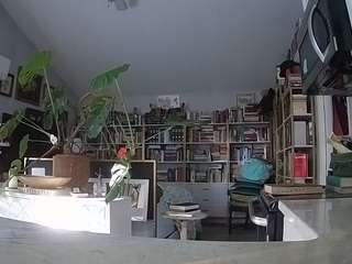 voyeurcam-bridgetleewalters-02 Profile Image