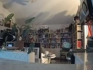 voyeurcam-bridgetleewalters-02