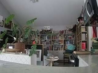 voyeurcam-bridgetleewalters-02