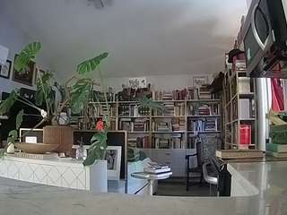 voyeurcam bridgetleewalters 02
