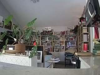 voyeurcam bridgetleewalters 02