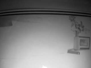 voyeurcam-bridgetlee... webcam