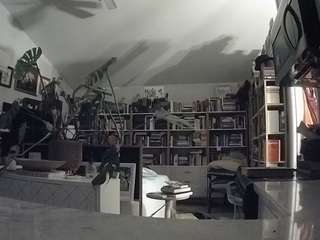 voyeurcam-bridge... Live Webcam on CamSoda
