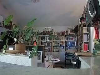 voyeurcam bridgetleewalters 02