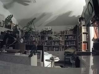 voyeurcam-bridge... Live Webcam on CamSoda