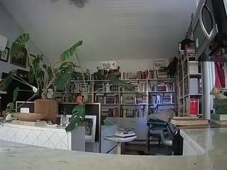 voyeurcam-bridge... Live Webcam on CamSoda