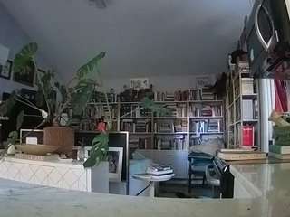 voyeurcam-bridgetleewalters-02 camsoda