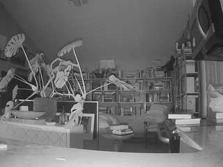 voyeurcam-bridgetleewalters-02