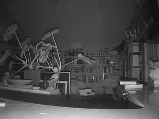 voyeurcam-bridgetleewalters-02