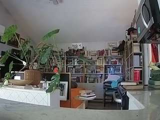 voyeurcam-bridge... Live Webcam on CamSoda