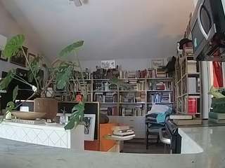 voyeurcam-bridge... Live Webcam on CamSoda