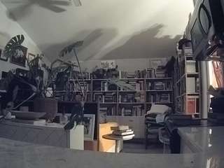 voyeurcam-bridge... Live Webcam on CamSoda