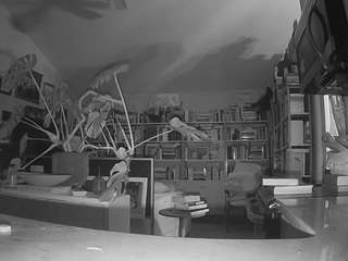 voyeurcam bridgetleewalters 02