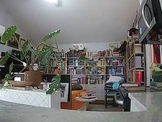 voyeurcam bridgetleewalters 02