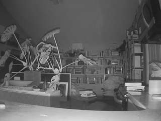 voyeurcam-bridgetleewalters-02