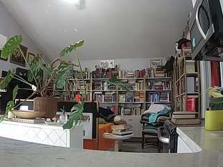 voyeurcam-bridge... Live Webcam on CamSoda