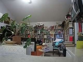 voyeurcam-bridge... Live Webcam on CamSoda