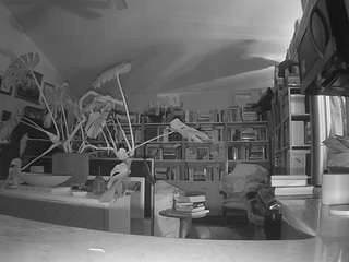 voyeurcam-bridge... Live Webcam on CamSoda