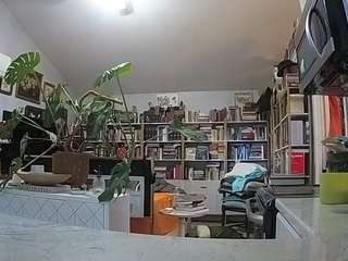 voyeurcam-bridgetleewalters-02 Live Webcam on CamSoda