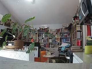 voyeurcam-bridge... Live Webcam on CamSoda