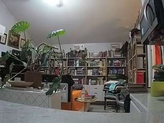 voyeurcam-bridgetleewalters-02 webcam model