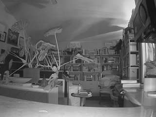 voyeurcam-bridgetleewalters-02