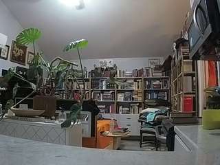 voyeurcam-bridgetleewalters-02