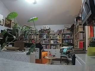 voyeurcam-bridgetleewalters-02