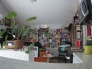 voyeurcam bridgetleewalters 02