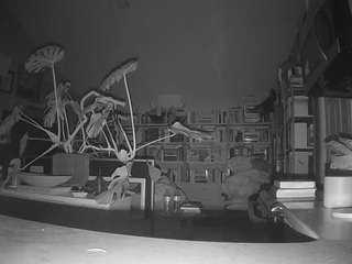 voyeurcam bridgetleewalters 02