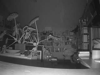 voyeurcam-bridgetleewalters-02