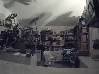 voyeurcam-bridgetleewalters-02 Live Webcam on CamSoda