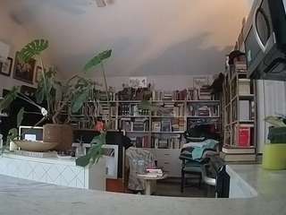 voyeurcam-bridge... Live Webcam on CamSoda