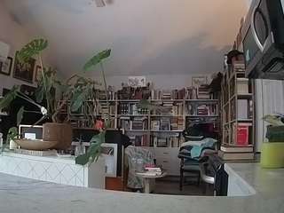 voyeurcam-bridge... Live Webcam on CamSoda