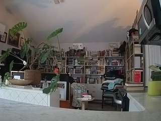 voyeurcam-bridge... Live Webcam on CamSoda