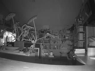 voyeurcam-bridgetleewalters-02