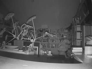 voyeurcam-bridgetleewalters-02