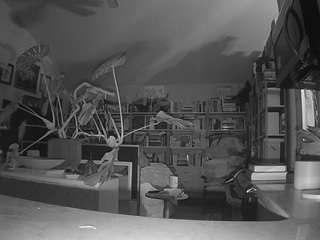 voyeurcam-bridge... Live Webcam on CamSoda