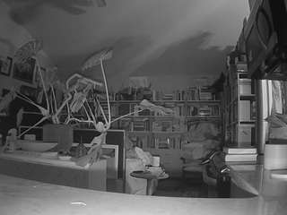 voyeurcam bridgetleewalters 02