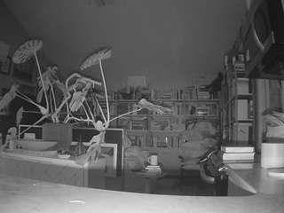 voyeurcam-bridge... Live Webcam on CamSoda