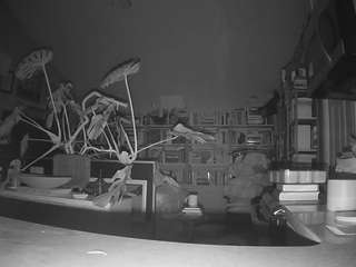 voyeurcam-bridgetleewalters-02