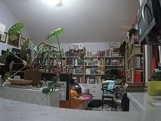 voyeurcam-bridgetleewalters-02